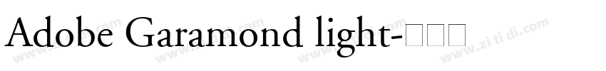 Adobe Garamond light字体转换